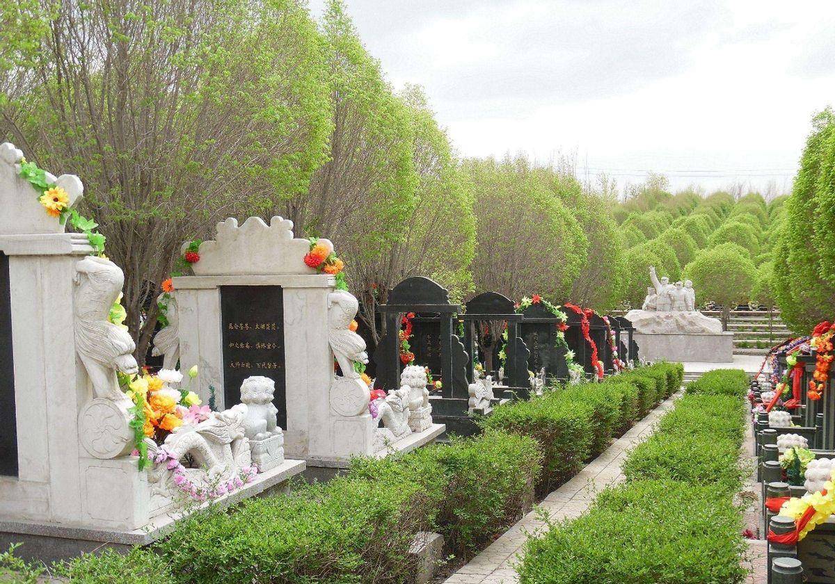 儿子不肯做作业爸爸大半夜罚他站坟头一转身背脊发凉