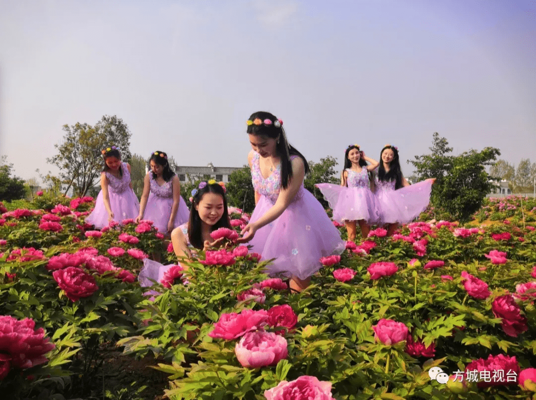 日前,以"国色牡丹妆方城,百花齐放春满园"为主题的2021中国·方城第五