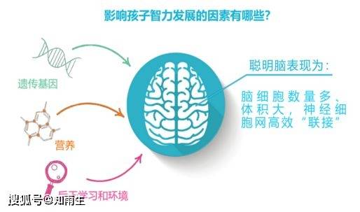 人体|“脑黄金”DHA，能让孩子更聪明吗？这些你都了解吗？