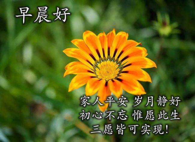 2021年4月26日星期一清晨早上好祝福动态表情图片 周一最新早安祝福带