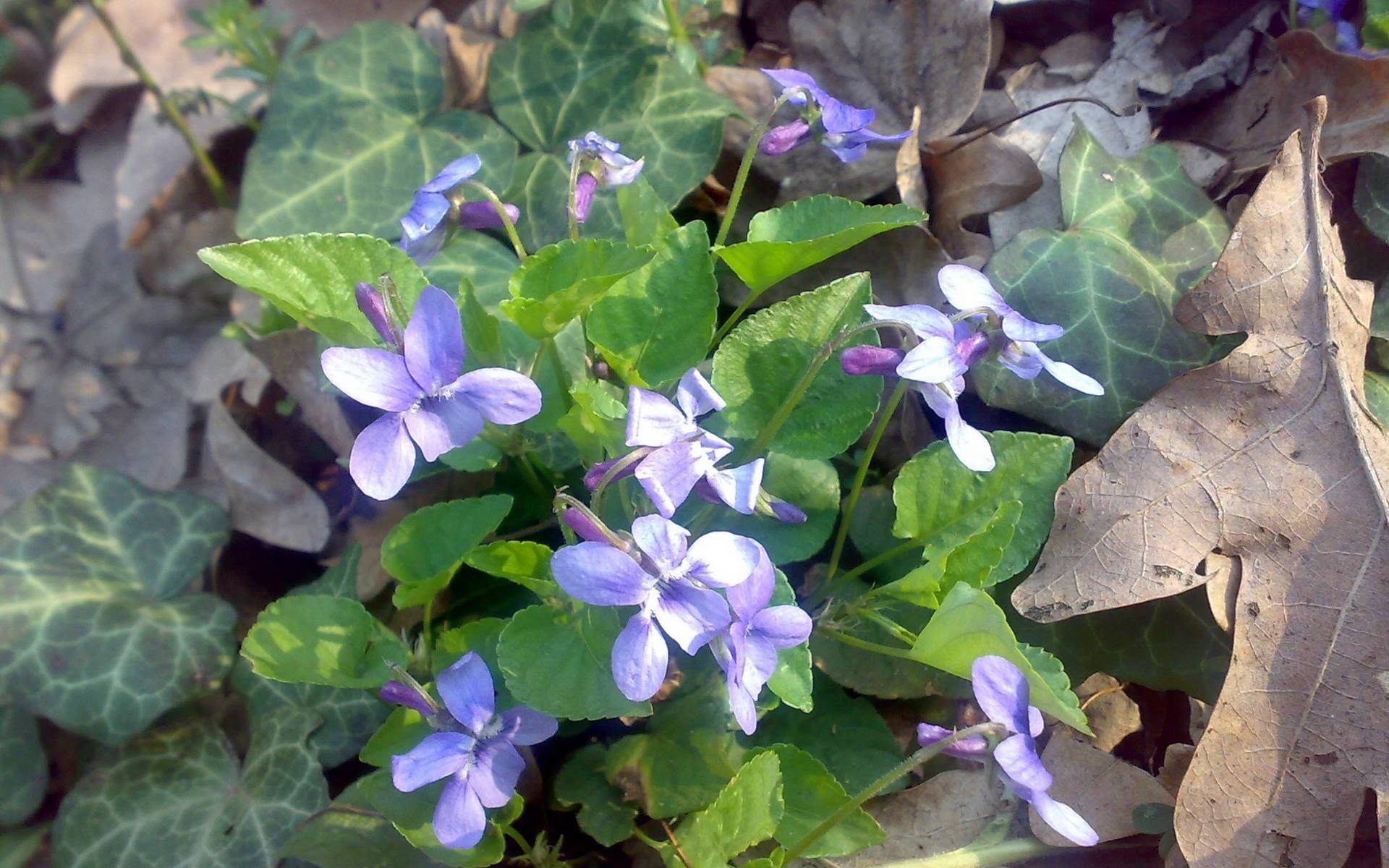 4月27日星座运势:披荆斩棘,逆流而上的四大星座