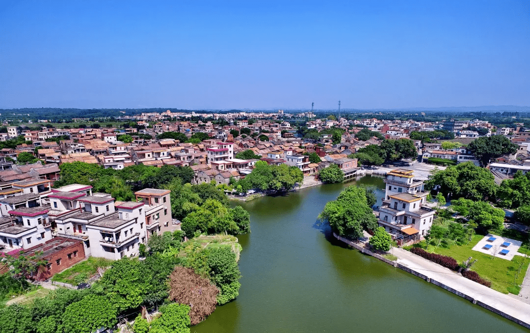 佛山市三水区芦苞镇的独树岗村,因村中蔡氏族人人口众多,使得"三水一