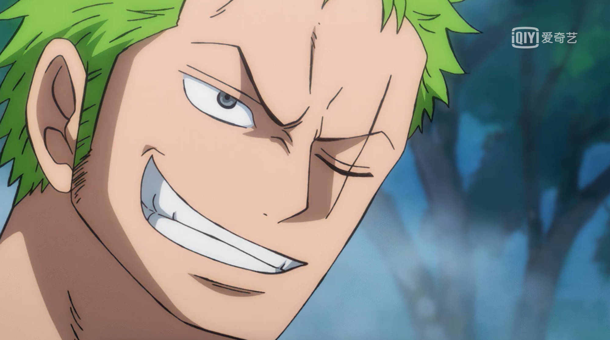 遇到野生东北虎该怎么办?索隆的做法很简单,1v1直接干