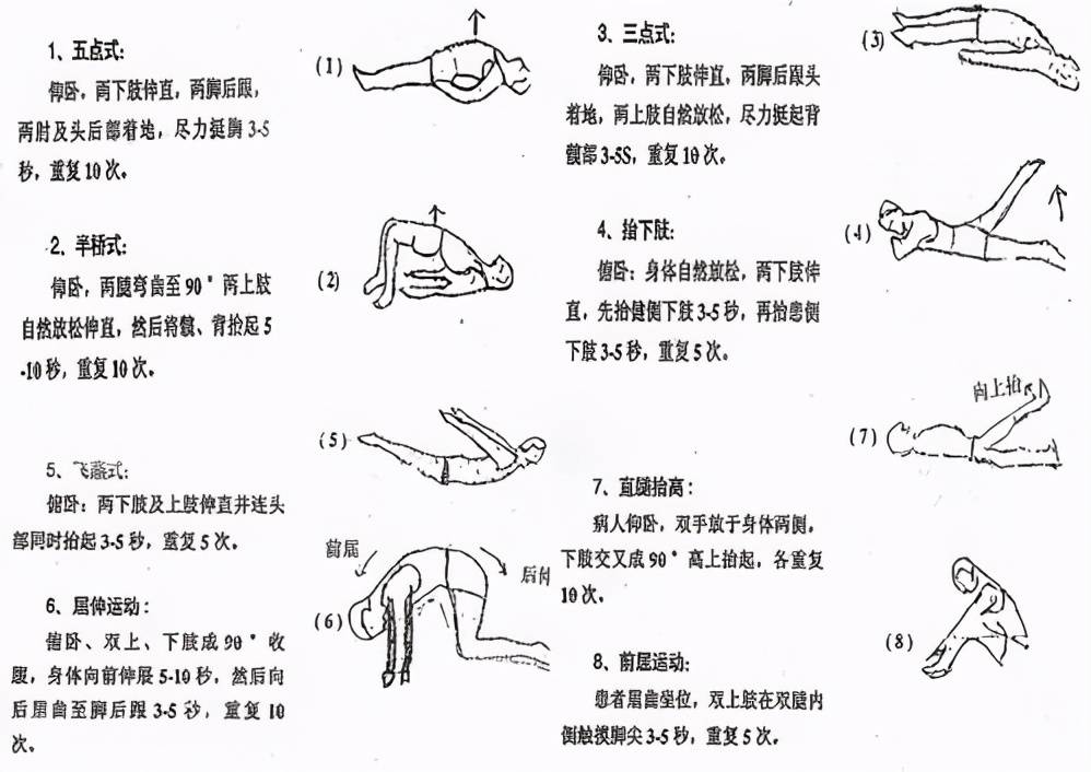 功能锻炼主要包括五点式和三点式