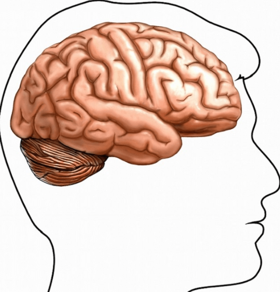 da44dfe735f0462fabd7f08619cf949e.png