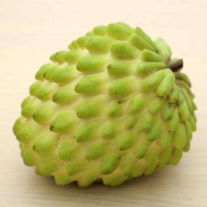 612c54c5a93c4033ac742368c8009e4d.jpeg