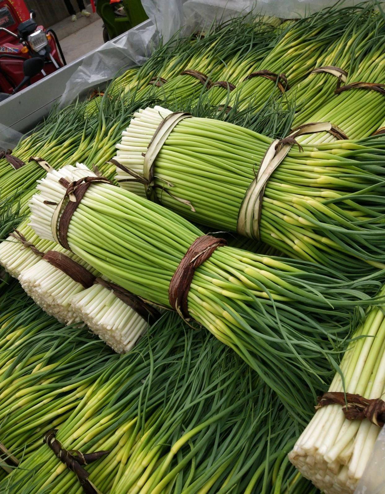 炒蒜薹,有人焯水有人过油有人直接炒,教你正确做法,营养又下饭_肉丝