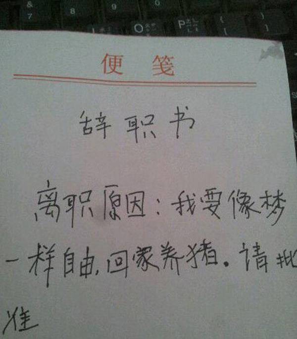 原创
每日一笑:这样拍照,能分得清谁是谁吗?