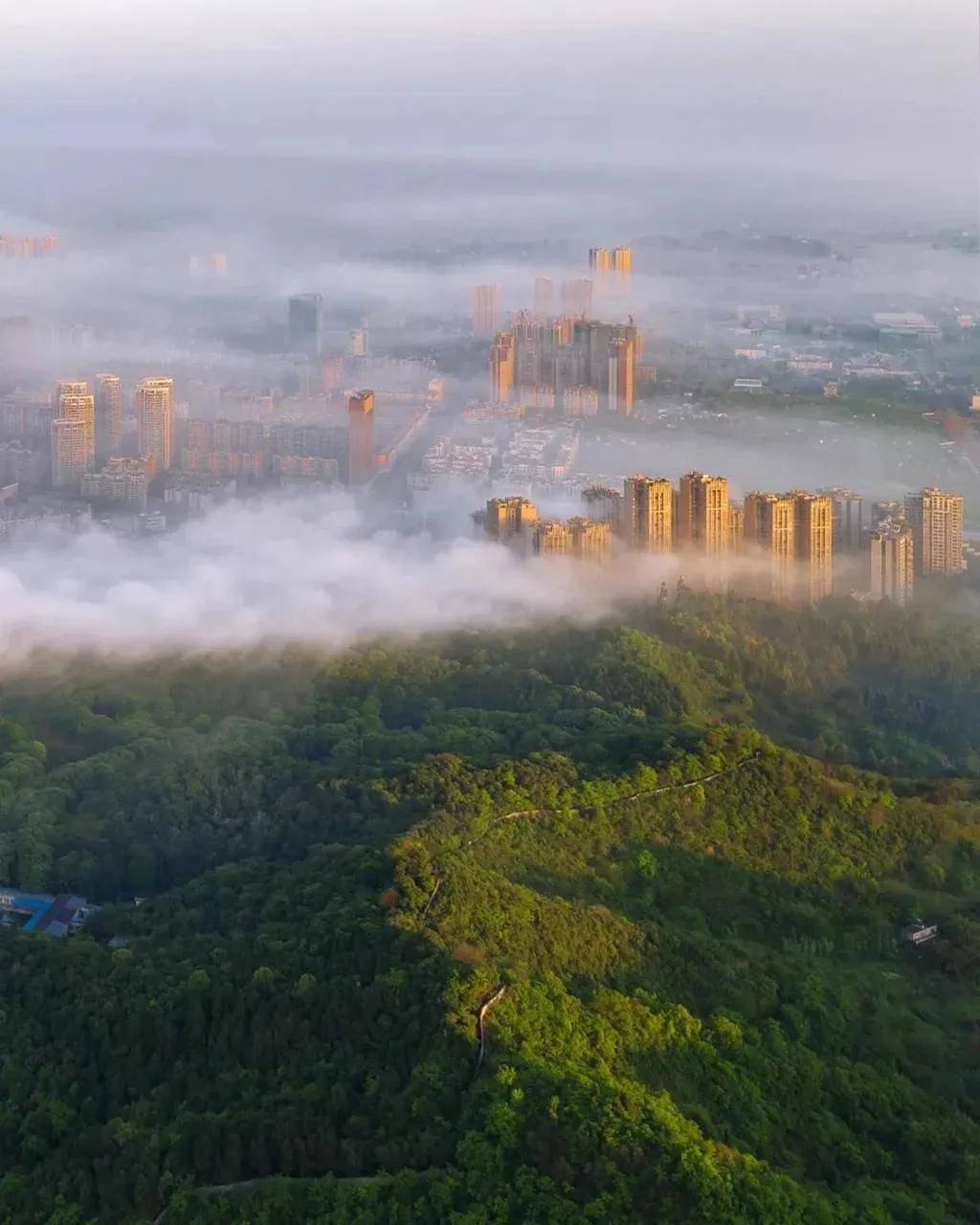大气治理科技范十足让龙泉驿气质更出众