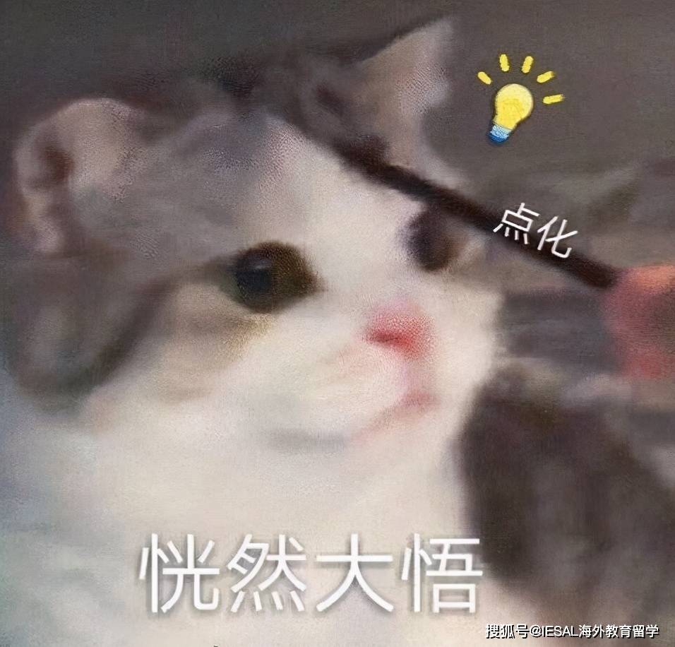 8c6334aefcc84e9f9b8b015c024eb741.jpeg