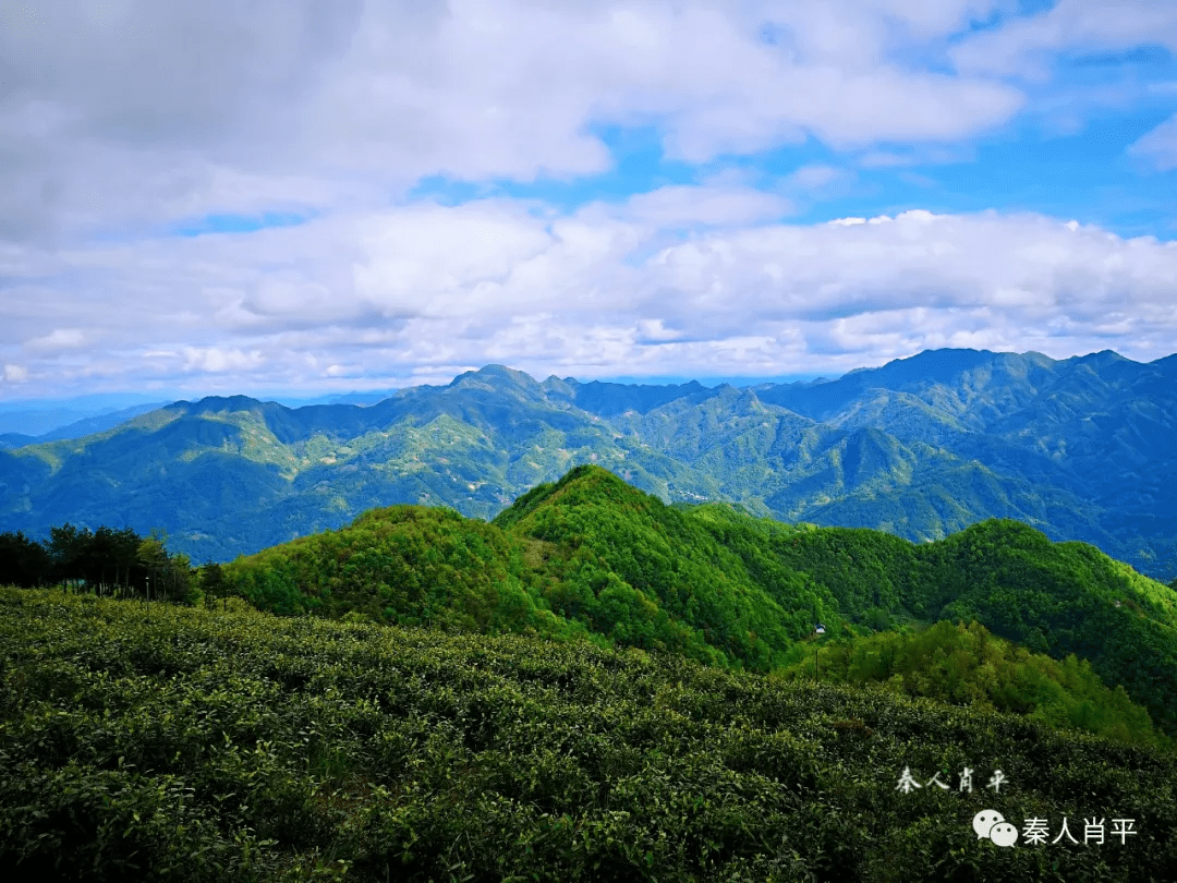 陕西冯源图片