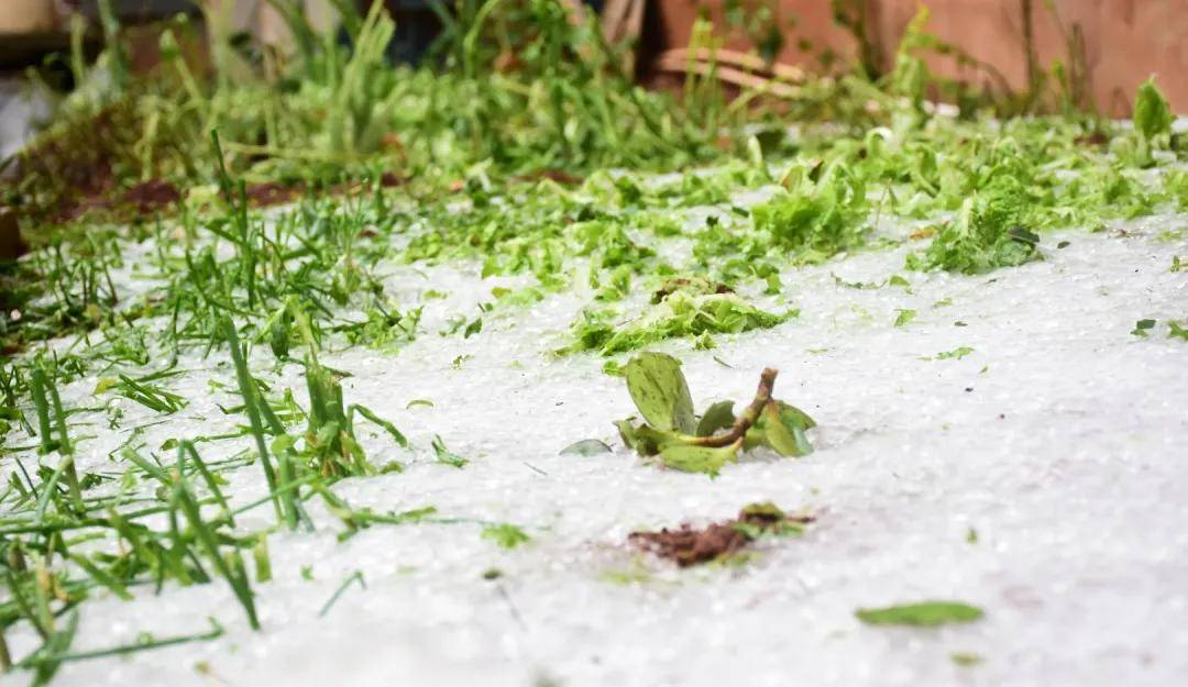 怪异天气文山突降冰雹街道变冰河居然连昆明也下雪了