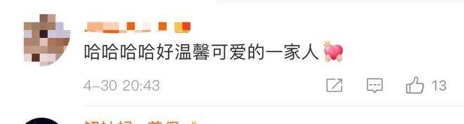 沈腾娇妻带娃公开秀恩爱遭网友指责 在线回怼网友超刚