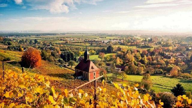 崇祯曾对公主说 你为什么要生在我的家里 此话道出帝王家的无奈 天下