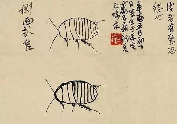 画家心有多细,看齐白石画的“土鳖”就知道了