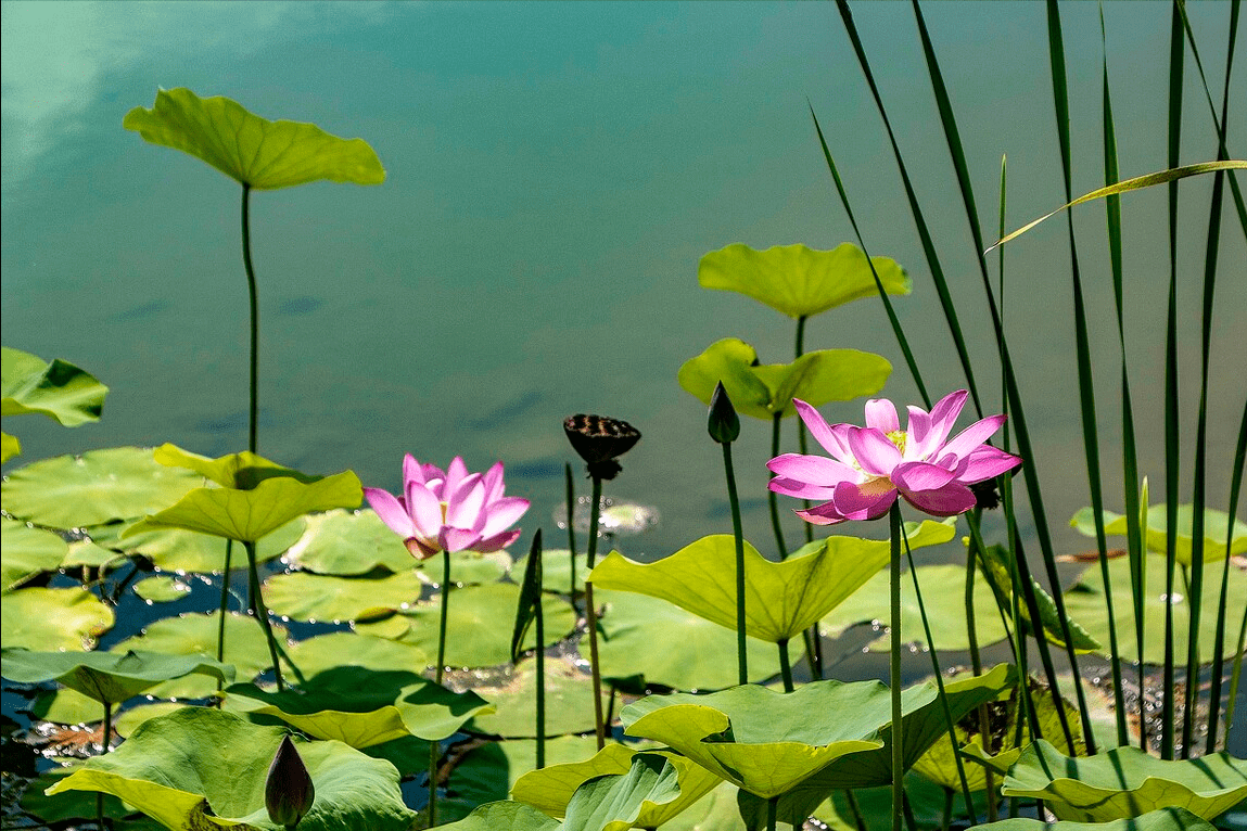 女人默许你这样做 那意味着 她已经给了你想要的心情 很现实 女生