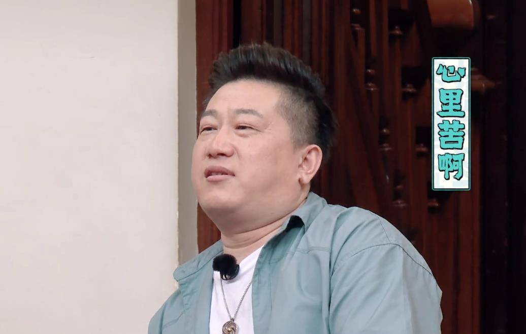 其他艺人呢,比如张鹤伦,也是红极一时,经常上综艺节目,收入自然少不了