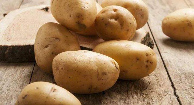 土豆加什么不发芽 f9828dd7f4c142dc93bd1b97c33784c4.jpeg