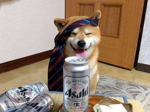 16922a1a61a14db0b971850e17e23fad.jpeg