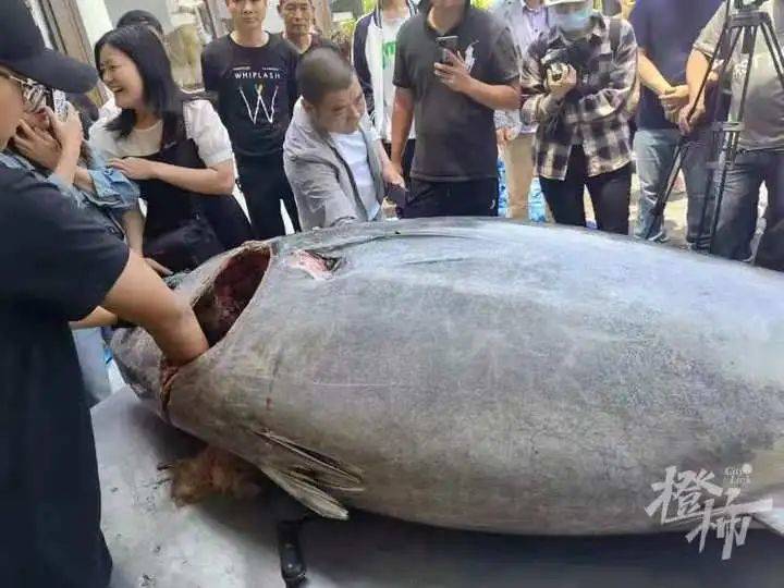 渔老大人均
