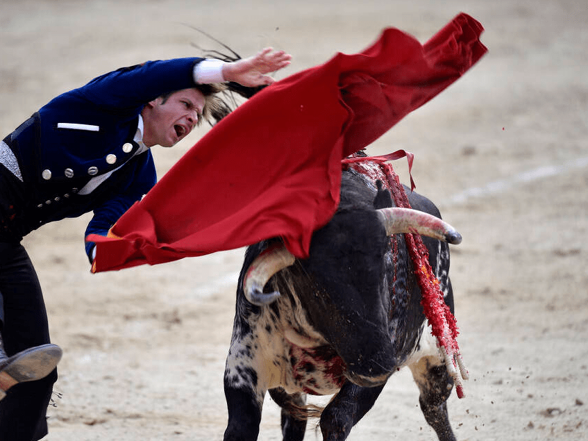 西班牙举办传统斗牛比赛 斗牛士身着西服风度翩翩