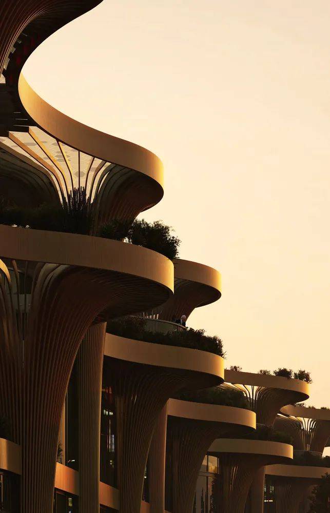 景观建筑的高阶玩法 上海太阳能树市场 32棵太阳能 树 供电的有机建筑 高田