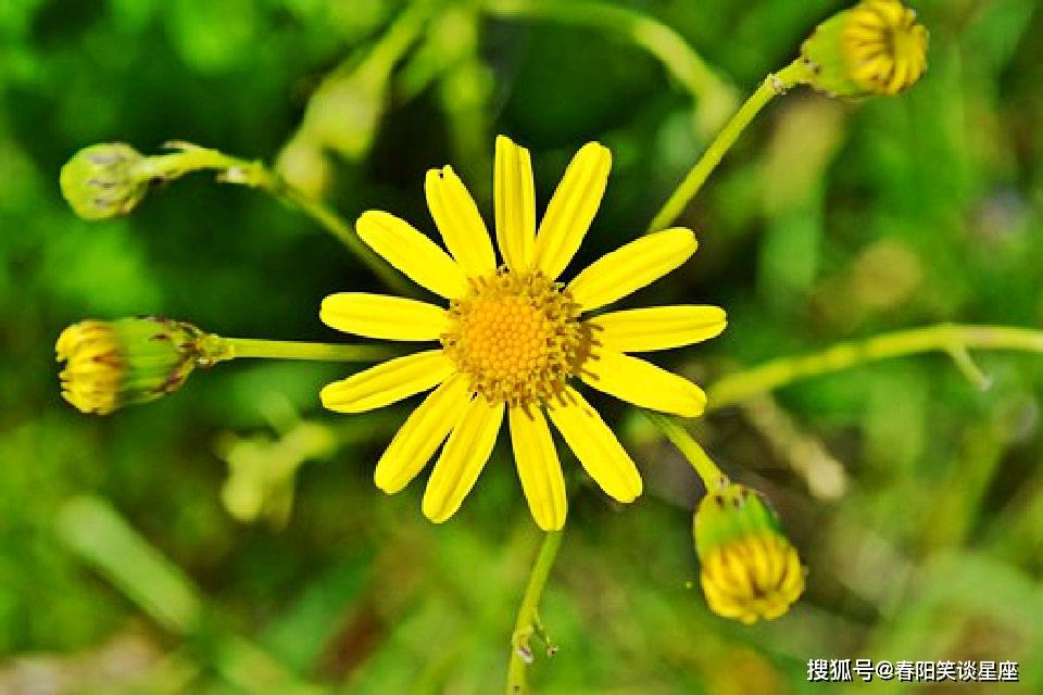 深刻走心的醒世名言 经典聪慧 醒悟人生 生活