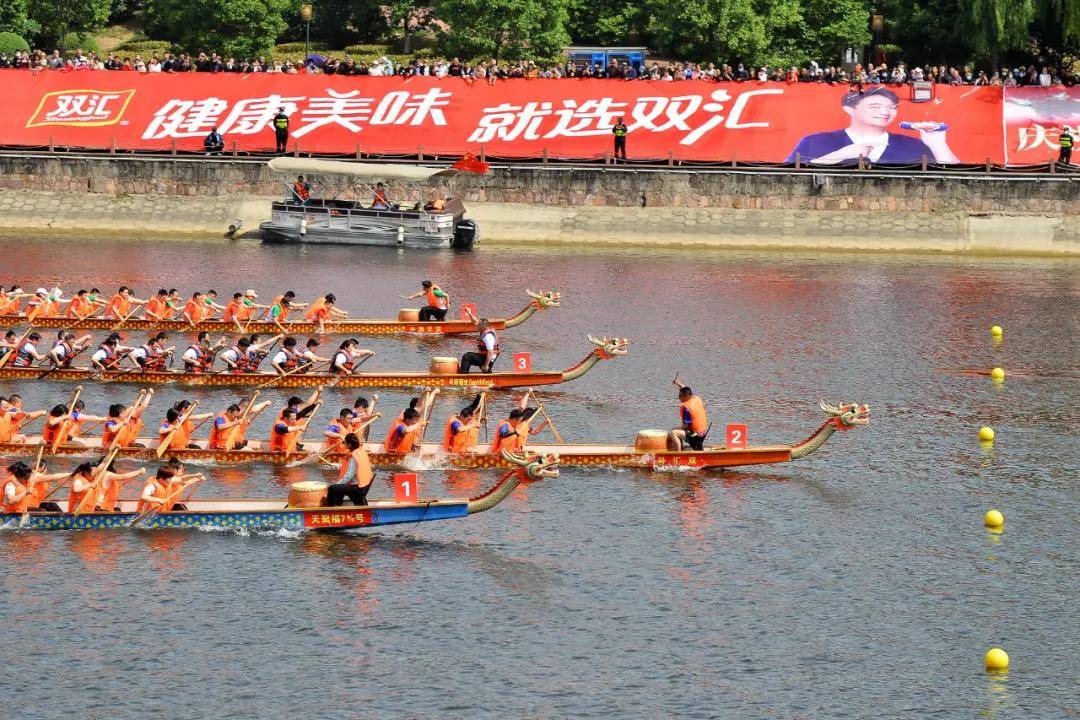 双汇助力2021漯河龙舟公开赛