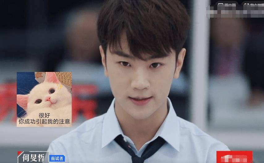 心动的offer2碾压现场学霸接连面试王骁丁辉有压力了