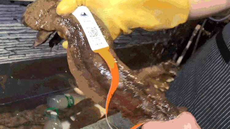 750_421gif 动态图 动图