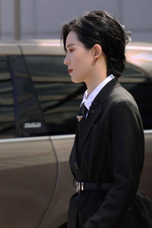 又一档新选秀综艺将来袭,the9硬糖强强加盟,嘉宾阵容堪称神仙_节目