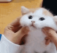 467e9f033a764c37a427f057b09a205c.gif