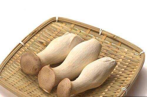 有什么病的人不能吃茶树菇 5dbb163f128f43e1a9323c6d606c0e99.jpeg