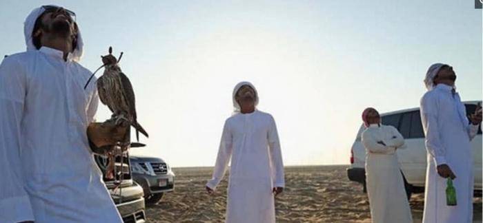 宠物饲养排行_2019年中国各省市宠物饲料收入排行榜(TOP20)