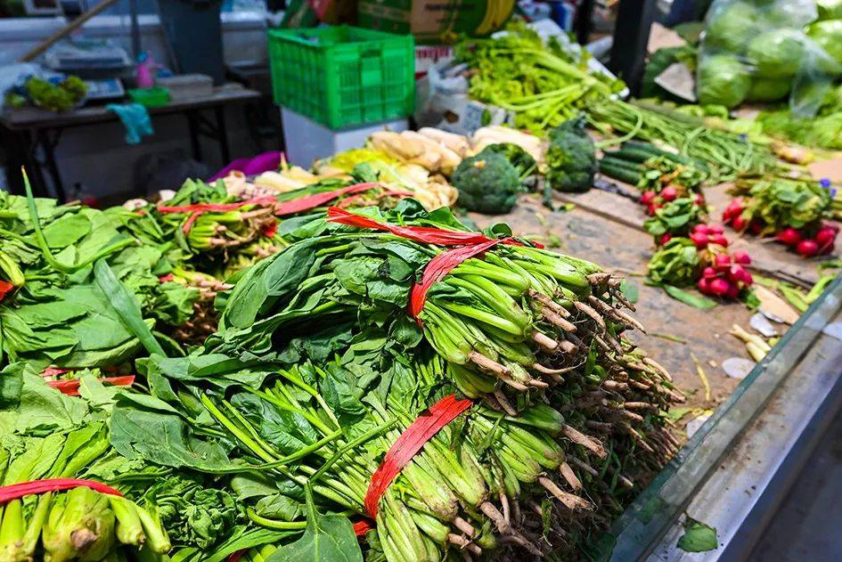 菜市场的菜从哪里批发的?