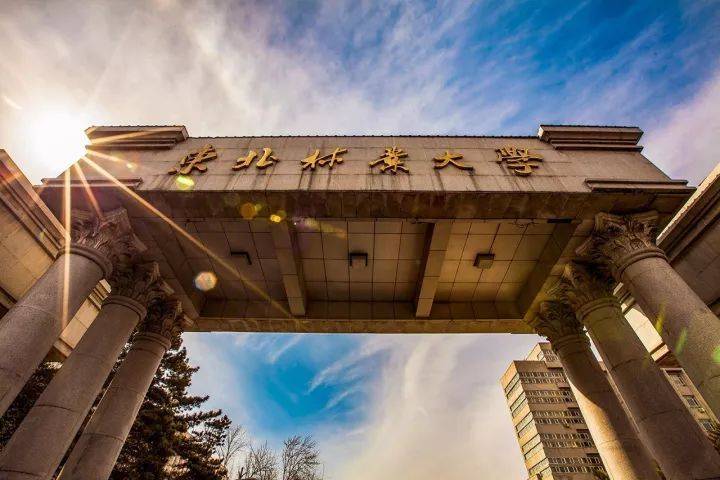 二,东北林业大学绘画,动画,视觉传达设计,产品设计,服装与服饰设计