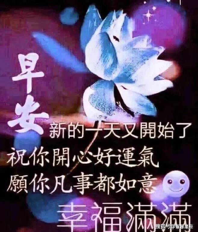 原創週二最漂亮早上好表情圖片帶鮮花2021最新版早上好動態表情圖片