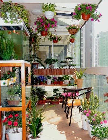 贵州一户人家,阳台从不堆杂物,打造成小花园,邻居看了都羡慕