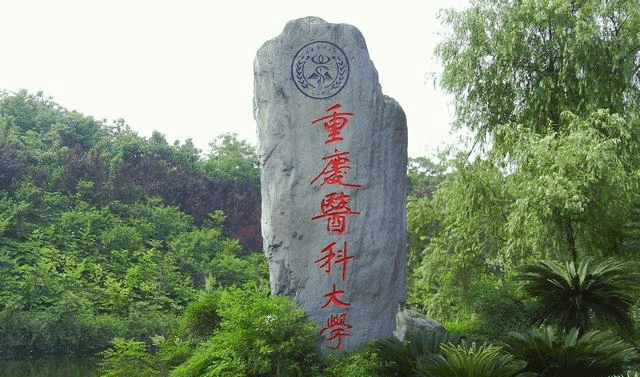 天津 2021 人均_天津地铁线路图2021(2)