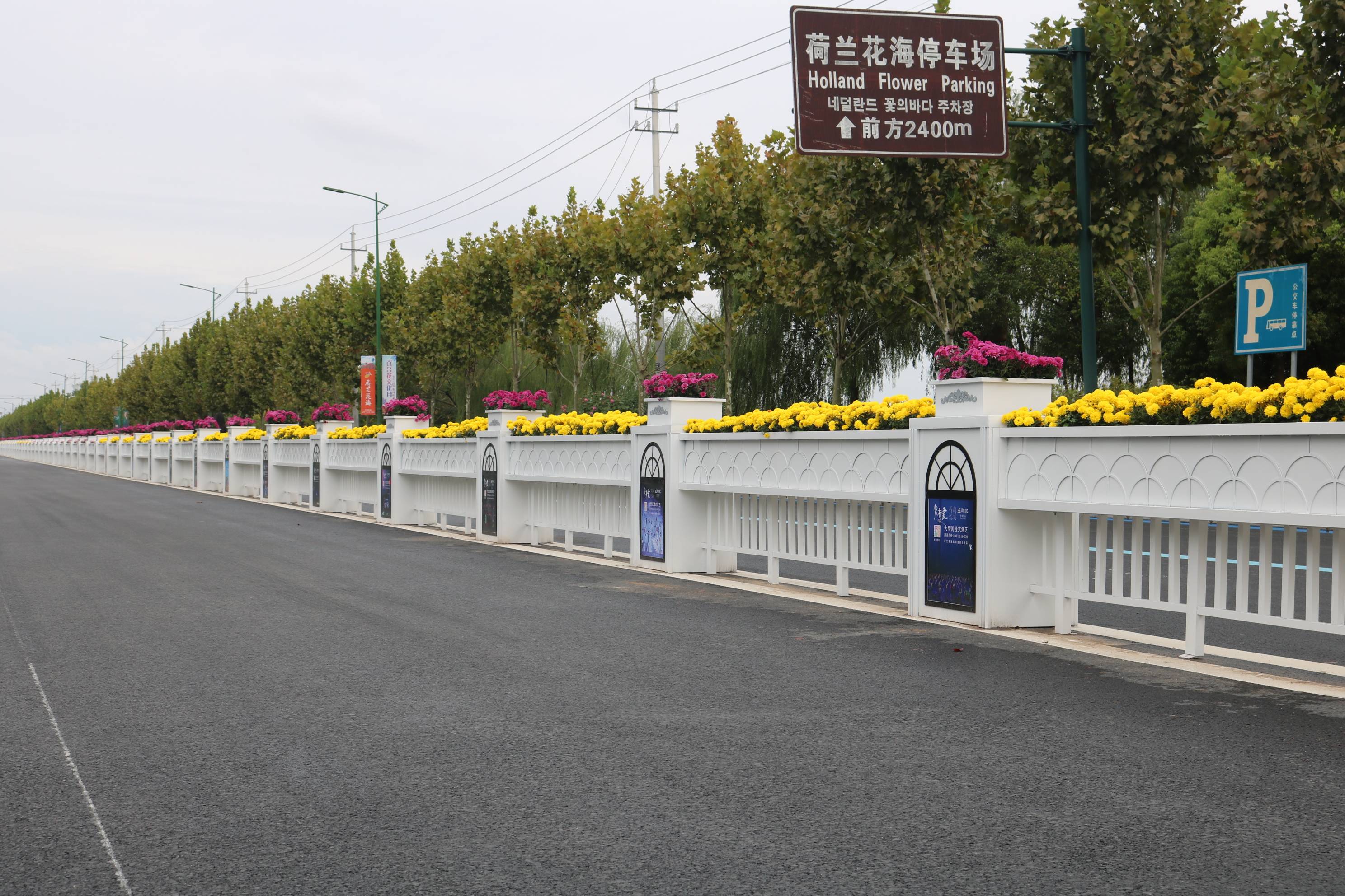 白色钣金道路花箱领路江苏盐城荷兰花海