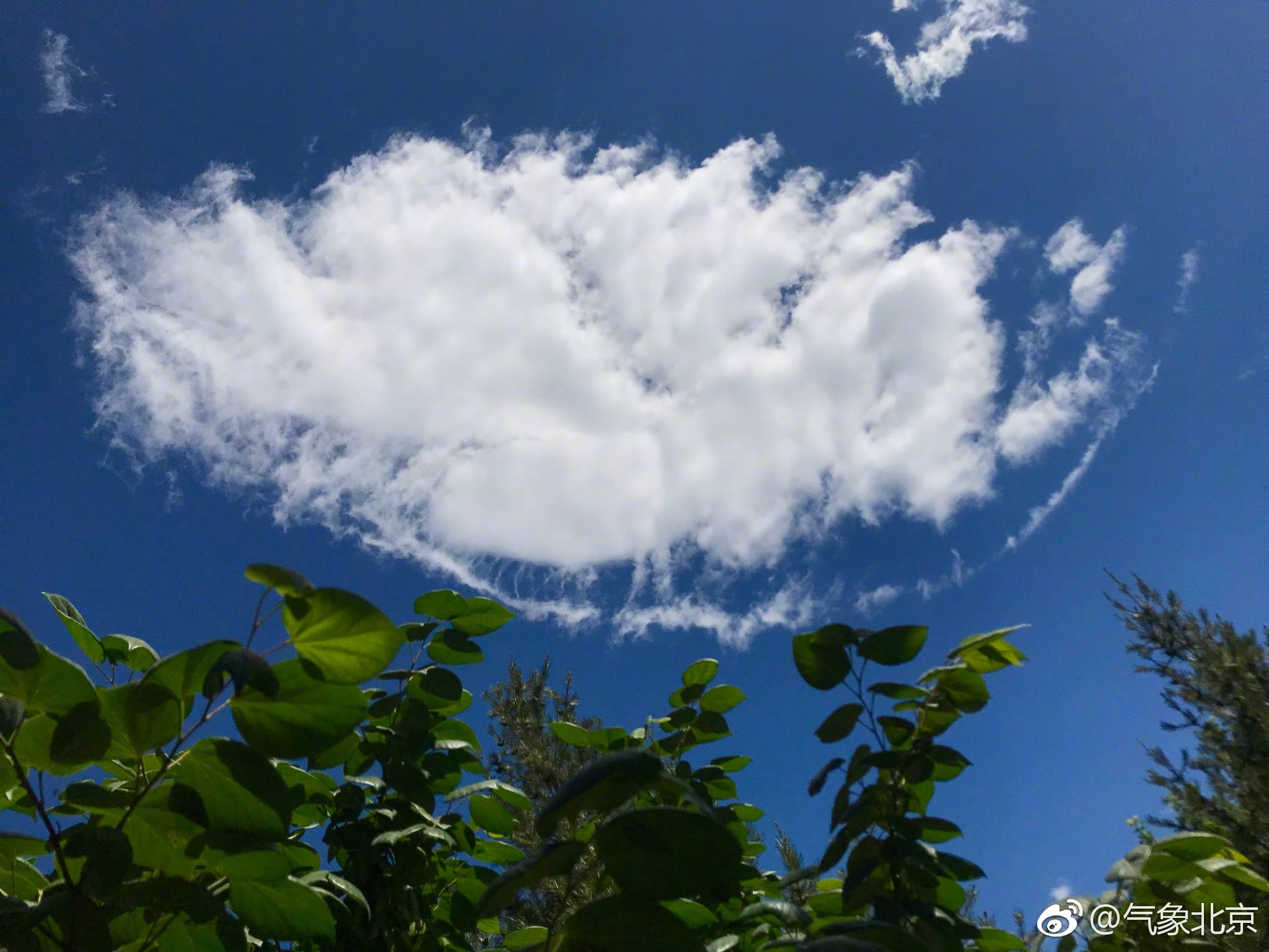 奢侈品牌包包推荐2021年奢侈包包火爆款小云朵美翻了