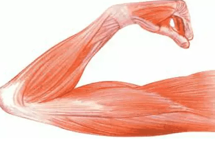 f30baae62d2046389f7ca86b5a560027.png