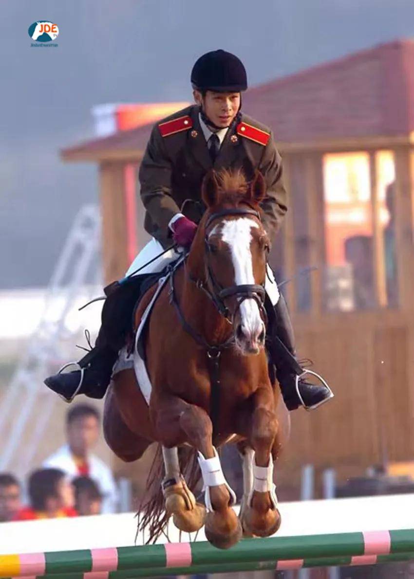走进河北马术队王立平催马扬鞭王者风范