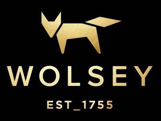 中国|英国皇室品牌WOLSEY，抢占“明星直播”新兴市场