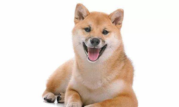 048a43250ece41f498b38bc45f6257fb.jpeg