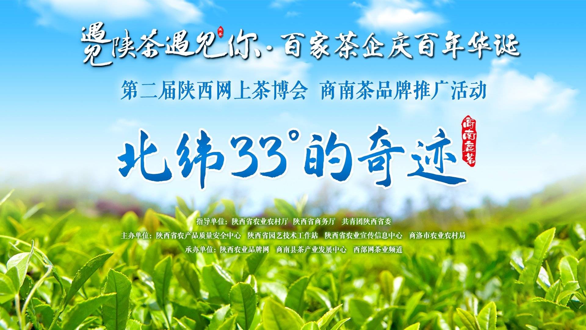 陕西商南三代茶人接力提品质树品牌拓市场创出北纬33奇迹