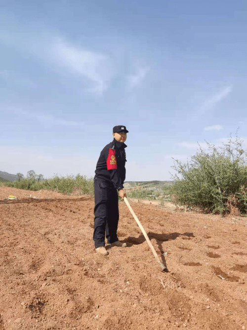 五月芳菲照眼明 三园建设正当行 王良博