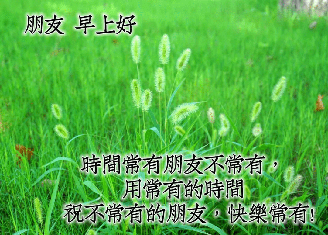 幸福滿滿的早安動態圖片,早上好動態表情包大全