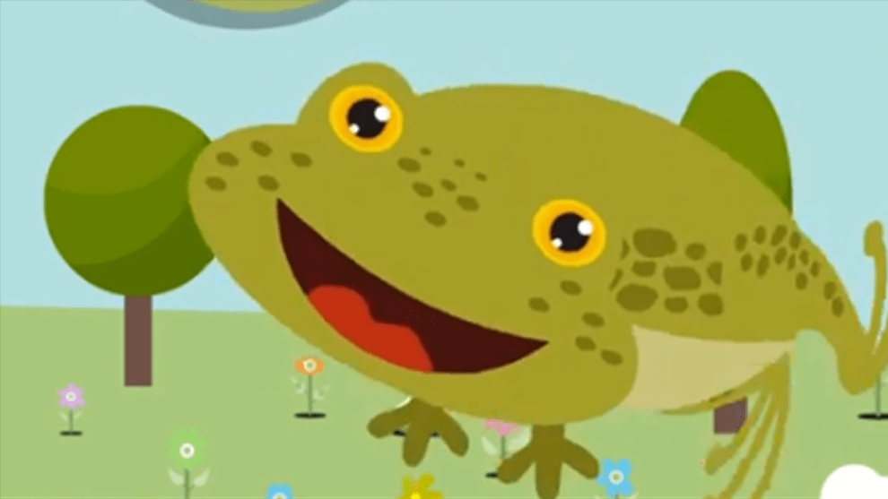 原创两夫妻夜间抓53只中华蟾蜍被认定为非法狩猎,罪名过重吗?