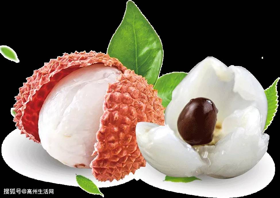 怎么快速的打开荔枝 0135addb93d74f8a9b85e94c2e130cfe.jpeg